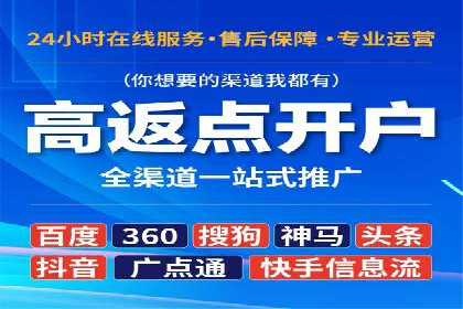成功SEM竞价托管案例分析报告